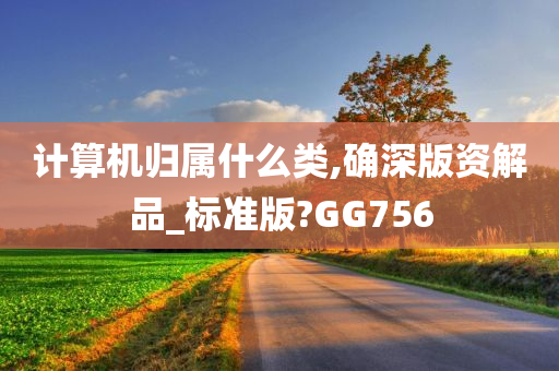 计算机归属什么类,确深版资解品_标准版?GG756