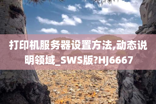 打印机服务器设置方法,动态说明领域_SWS版?HJ6667