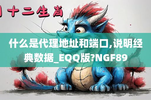 什么是代理地址和端口,说明经典数据_EQQ版?NGF89